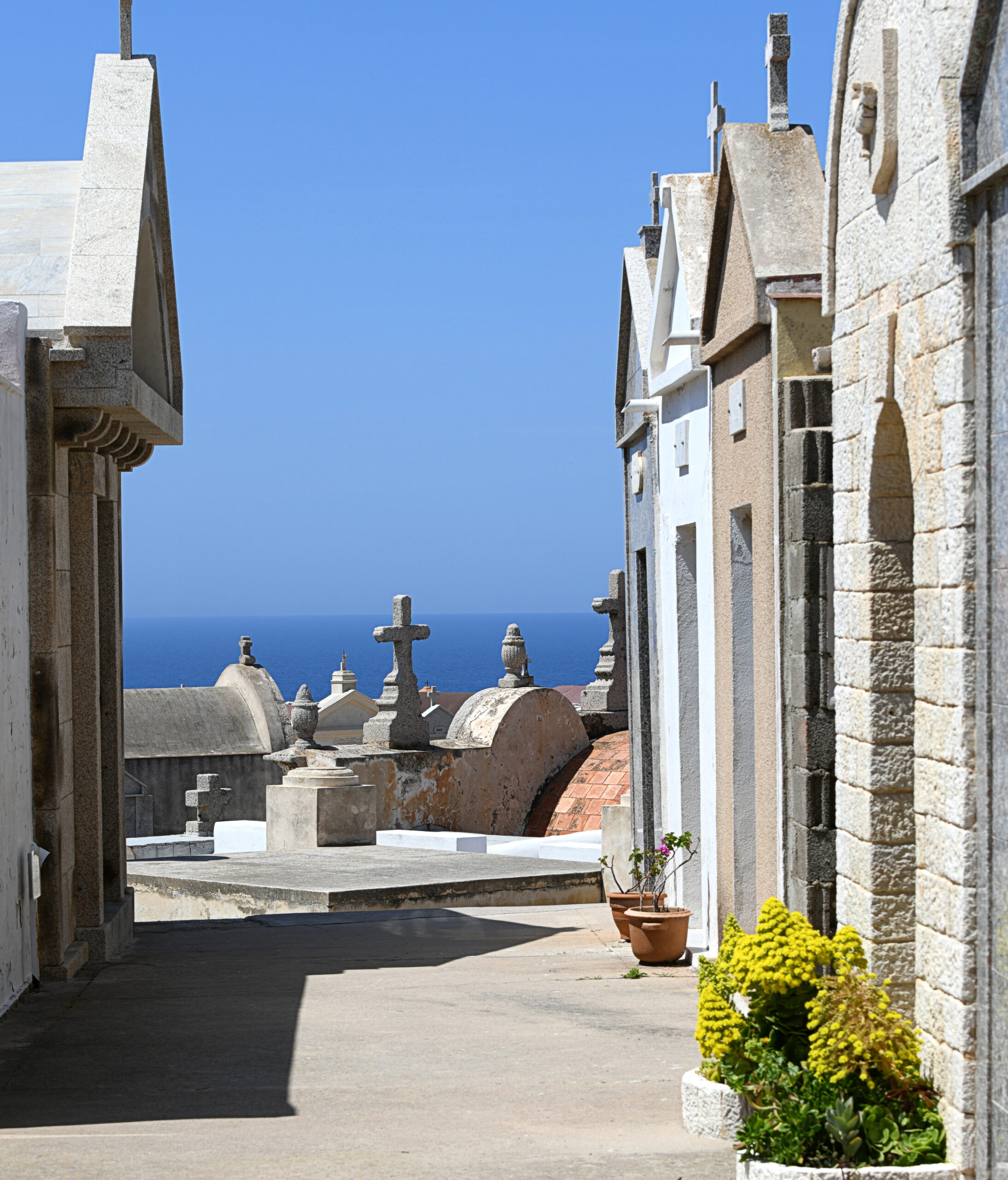 L'avenue du Patrimoine - Prévoyance en Corse