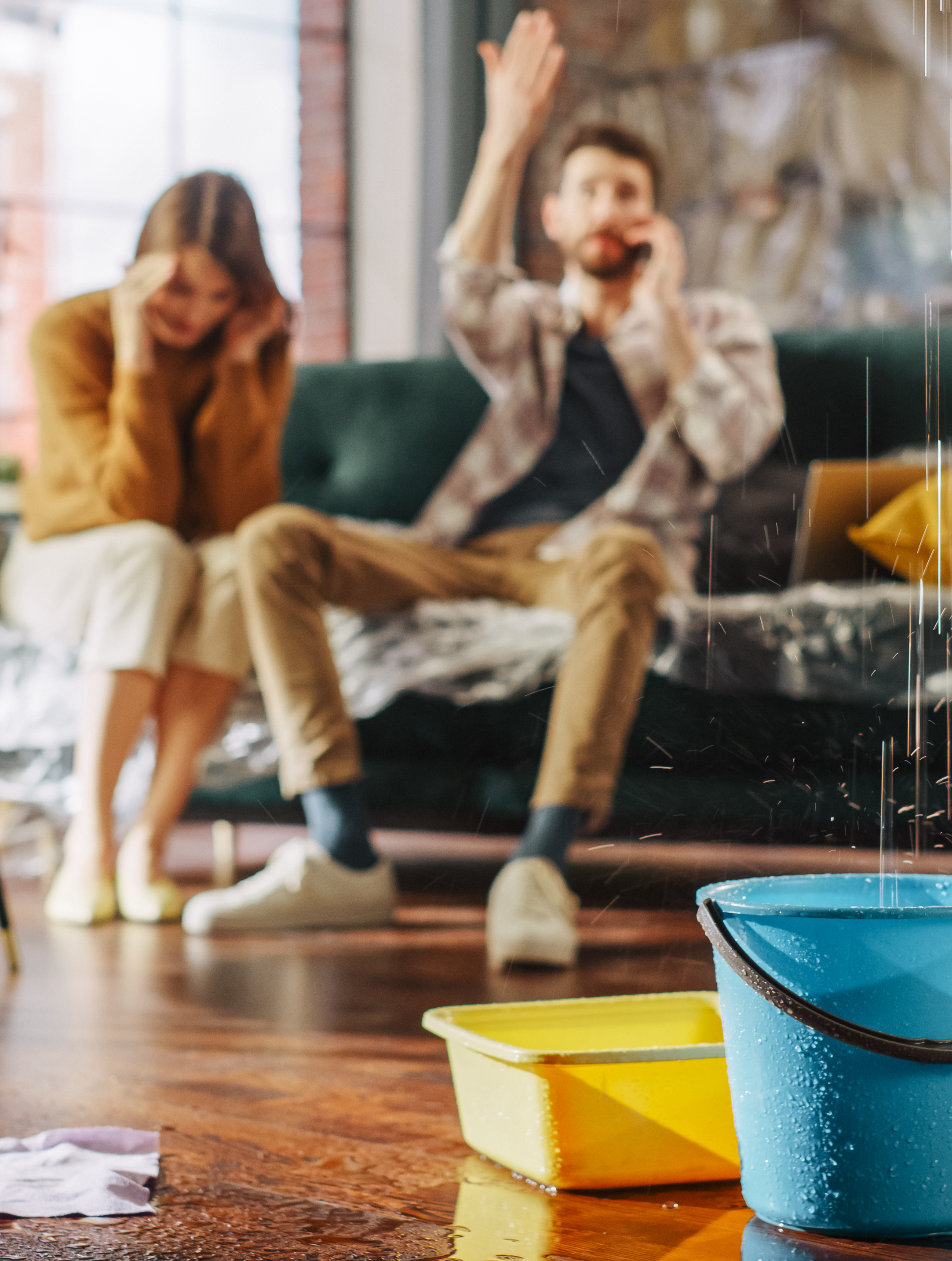 L'avenue du Patrimoine - Assurance Habitation en Corse